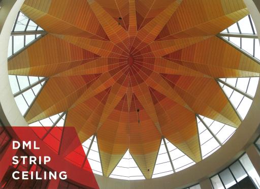 DML-Strip-Ceiling.jpg